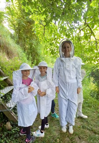 Bienen 5