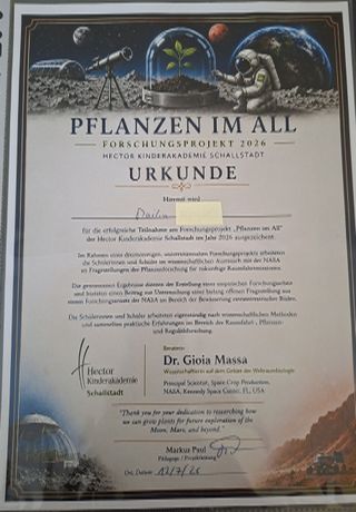 Urkunde